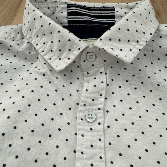 Alexander Julian White Short Sleeve Button Up Shirt Black Polka Dots L - Picture 4 of 15